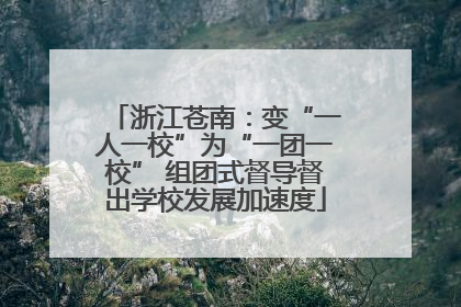 浙江苍南：变“一人一校”为“一团一校” 组团式督导督出学校发展加速度