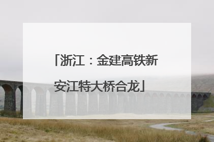 浙江：金建高铁新安江特大桥合龙