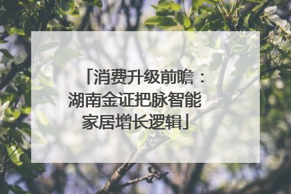 消费升级前瞻：湖南金证把脉智能家居增长逻辑