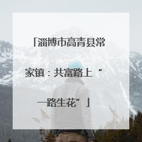 淄博市高青县常家镇：共富路上“一路生花”