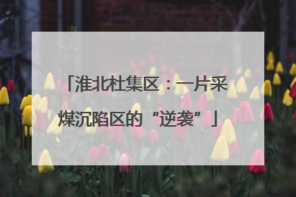 淮北杜集区：一片采煤沉陷区的“逆袭”