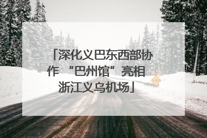 深化义巴东西部协作 “巴州馆”亮相浙江义乌机场