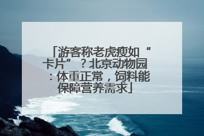 游客称老虎瘦如“卡片”？北京动物园：体重正常，饲料能保障营养需求