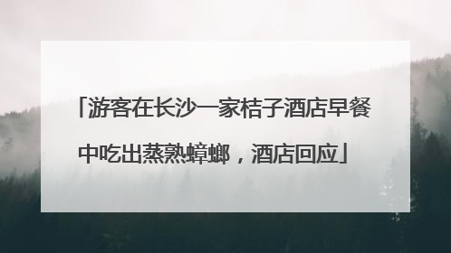 游客在长沙一家桔子酒店早餐中吃出蒸熟蟑螂，酒店回应