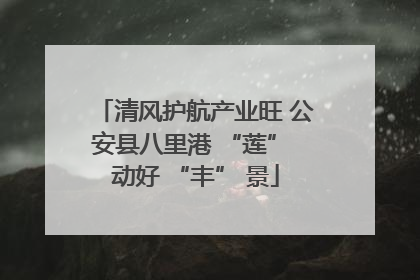 清风护航产业旺 公安县八里港 “莲” 动好 “丰” 景