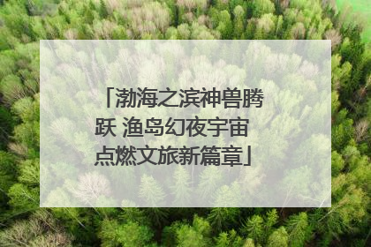 渤海之滨神兽腾跃 渔岛幻夜宇宙点燃文旅新篇章