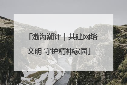 渤海潮评｜共建网络文明 守护精神家园