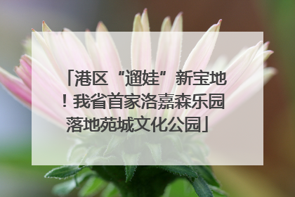 港区“遛娃”新宝地！我省首家洛嘉森乐园落地苑城文化公园