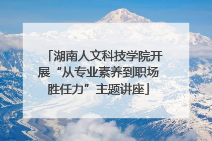 湖南人文科技学院开展“从专业素养到职场胜任力”主题讲座