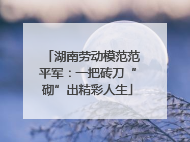 湖南劳动模范范平军：一把砖刀“砌”出精彩人生