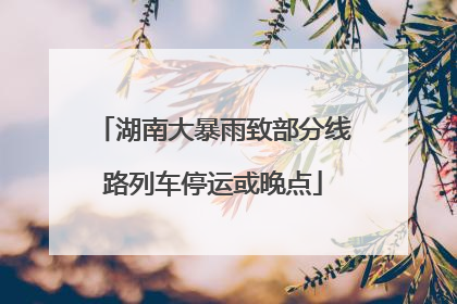 湖南大暴雨致部分线路列车停运或晚点