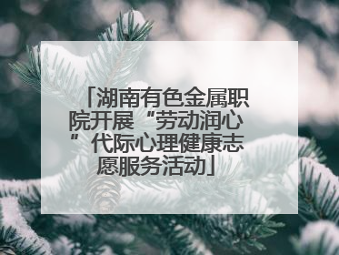 湖南有色金属职院开展“劳动润心”代际心理健康志愿服务活动