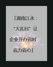 湖南江永：“大礼包”让企业开办省时省力省心