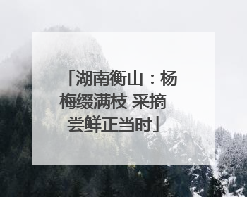 湖南衡山：杨梅缀满枝 采摘尝鲜正当时