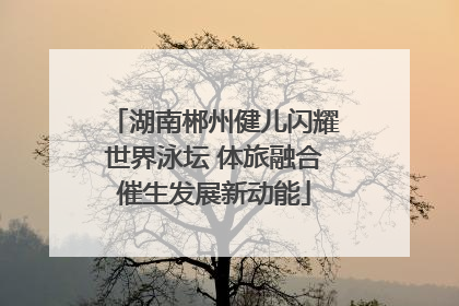 湖南郴州健儿闪耀世界泳坛 体旅融合催生发展新动能