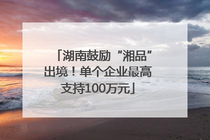 湖南鼓励“湘品”出境！单个企业最高支持100万元
