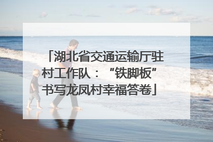 湖北省交通运输厅驻村工作队：“铁脚板”书写龙凤村幸福答卷