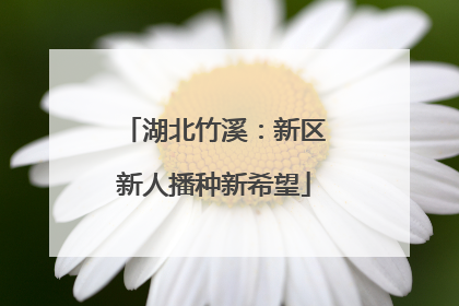 湖北竹溪：新区新人播种新希望