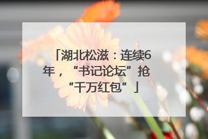 湖北松滋：连续6年，“书记论坛”抢“千万红包”