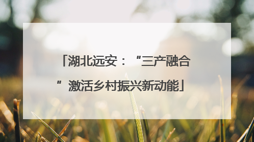 湖北远安：“三产融合”激活乡村振兴新动能
