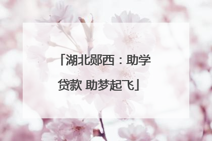 湖北郧西：助学贷款 助梦起飞