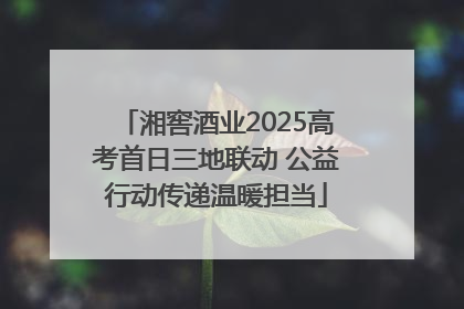 湘窖酒业2025高考首日三地联动 公益行动传递温暖担当