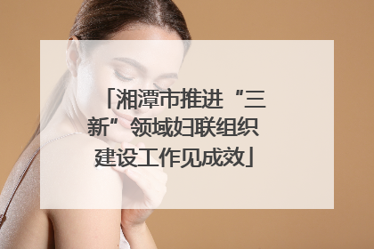 湘潭市推进“三新”领域妇联组织建设工作见成效