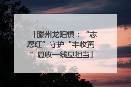 滕州龙阳镇：“志愿红”守护“丰收黄”夏收一线显担当