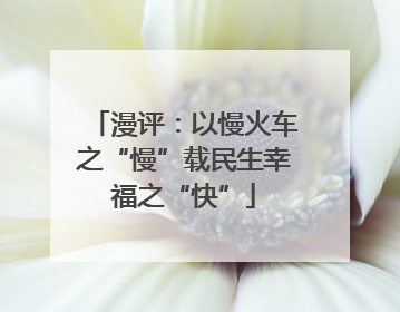 漫评：以慢火车之“慢”载民生幸福之“快”