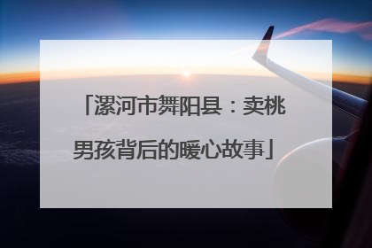 漯河市舞阳县：卖桃男孩背后的暖心故事