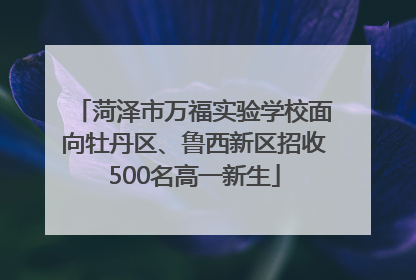 菏泽市万福实验学校面向牡丹区、鲁西新区招收500名高一新生
