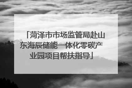 菏泽市市场监管局赴山东海辰储能一体化零碳产业园项目帮扶指导