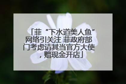 菲“下水道美人鱼”网络引关注 菲政府部门考虑请其当官方大使，赠现金开店
