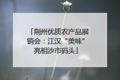 荆州优质农产品展销会：江汉“美味”亮相沙市码头