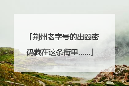 荆州老字号的出圈密码藏在这条街里……