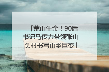 荒山生金！90后书记马传力带领张山头村书写山乡巨变