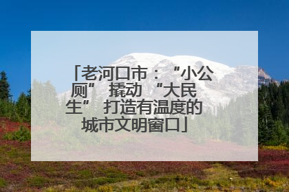 老河口市：“小公厕” 撬动 “大民生” 打造有温度的城市文明窗口
