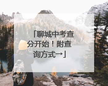 聊城中考查分开始！附查询方式→