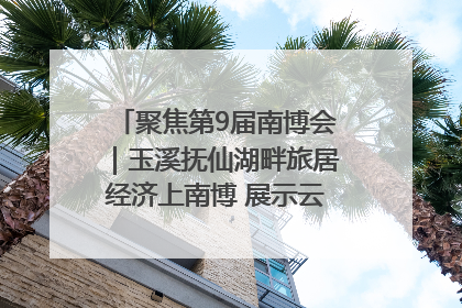 聚焦第9届南博会｜玉溪抚仙湖畔旅居经济上南博 展示云南生活新样本