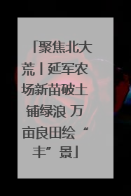聚焦北大荒丨延军农场新苗破土铺绿浪 万亩良田绘“丰”景