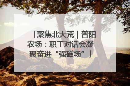 聚焦北大荒｜普阳农场：职工对话会凝聚奋进“强磁场”