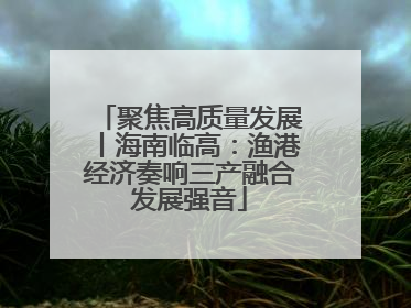 聚焦高质量发展丨海南临高：渔港经济奏响三产融合发展强音