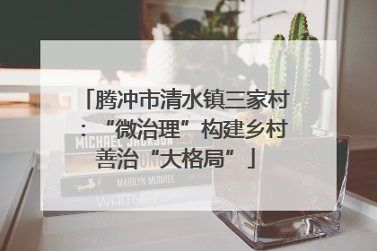 腾冲市清水镇三家村：“微治理”构建乡村善治“大格局”