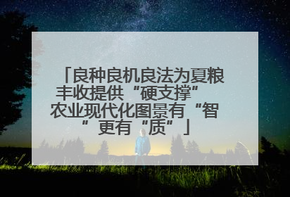 良种良机良法为夏粮丰收提供“硬支撑” 农业现代化图景有“智”更有“质”