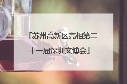 苏州高新区亮相第二十一届深圳文博会