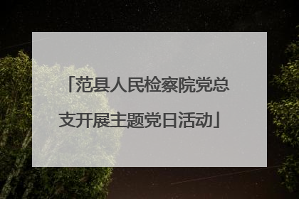范县人民检察院党总支开展主题党日活动