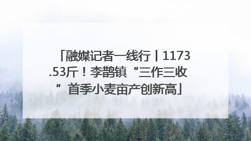 融媒记者一线行丨1173.53斤！李鹊镇“三作三收”首季小麦亩产创新高