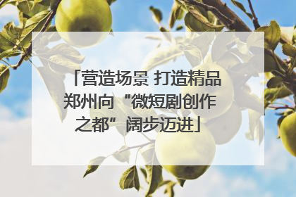 营造场景 打造精品 郑州向“微短剧创作之都”阔步迈进