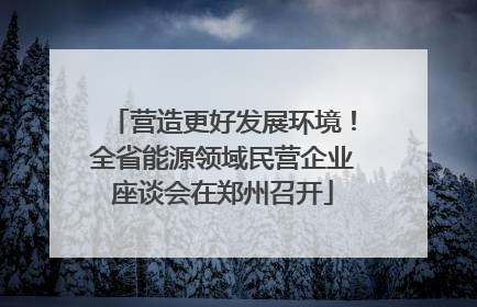 营造更好发展环境！全省能源领域民营企业座谈会在郑州召开