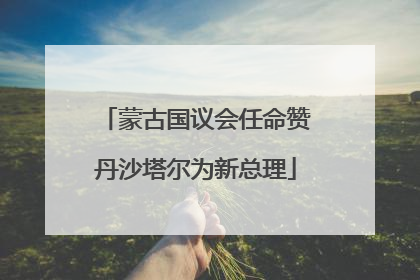 蒙古国议会任命赞丹沙塔尔为新总理